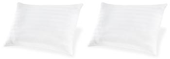 Zephyr 2.0 Cotton Pillow (Set of 2)